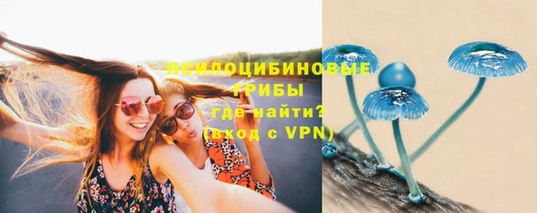 COCAINE Богородицк