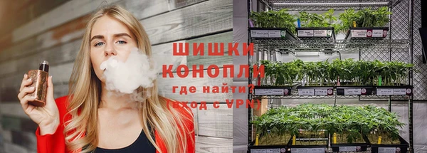 прущие грибы Богданович