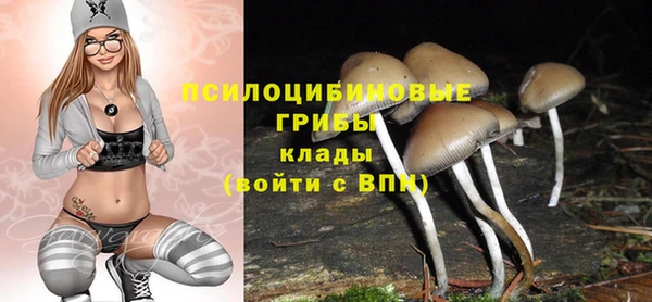 COCAINE Белокуриха
