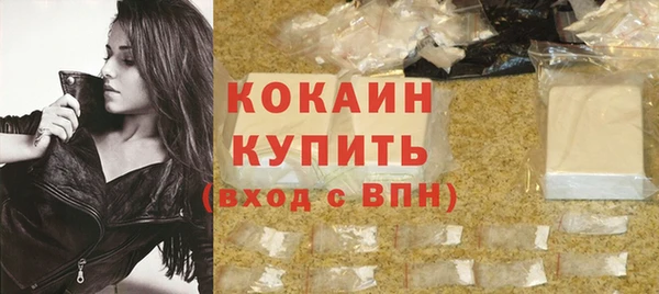 прущие грибы Богданович